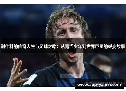 谢什科的传奇人生与足球之路：从青涩少年到世界巨星的蜕变故事
